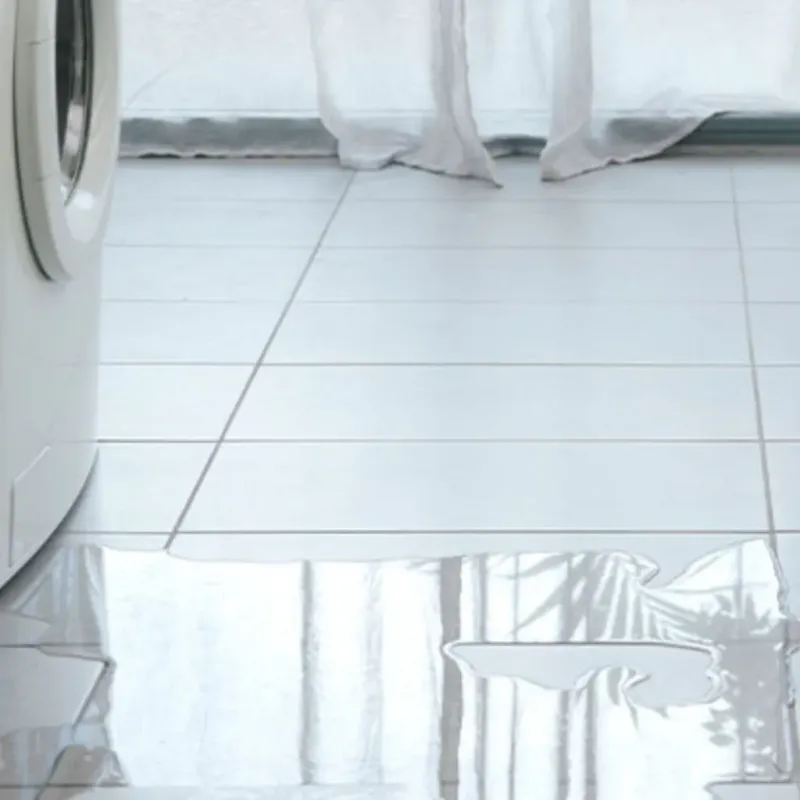 Appliance Leak Cleanup in North Star, DE