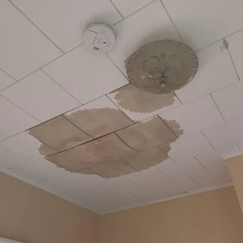 Ceiling Water Damage Repair in North Star, DE
