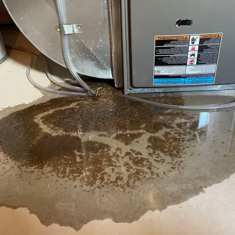 Pipe Burst and Leak Restoration in North Star, DE